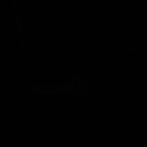 Meet your Posher, Aarthi